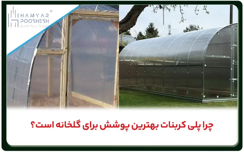 چرا پلی کربنات بهترین پوشش گلخانه است